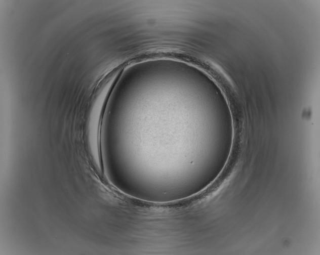 X0000090900777200708201717