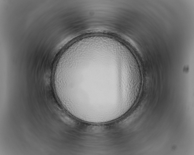 X0000090900778200708201717