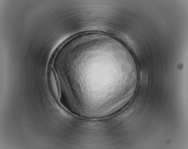 X0000090900780200708201717