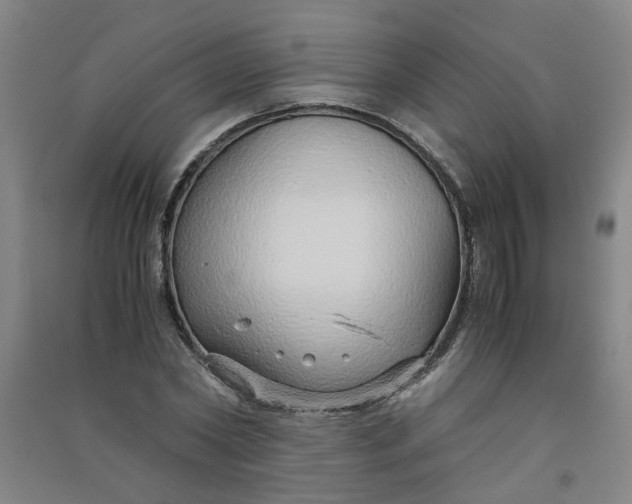 X0000090900782200708201717