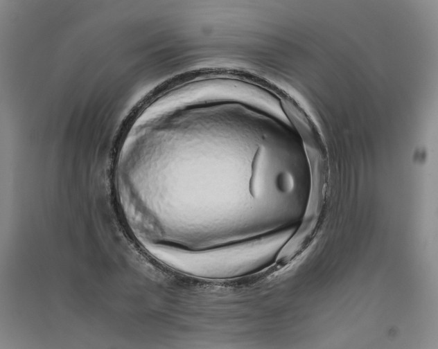 X0000090900783200708201717