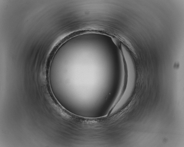 X0000090900784200708201717