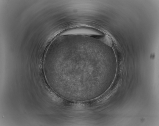 X0000090900785200708201717