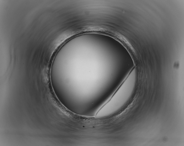 X0000090900786200708201717