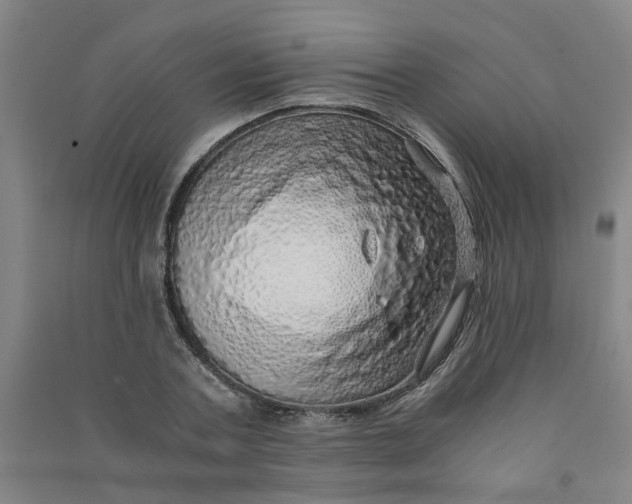 X0000090900787200708201717