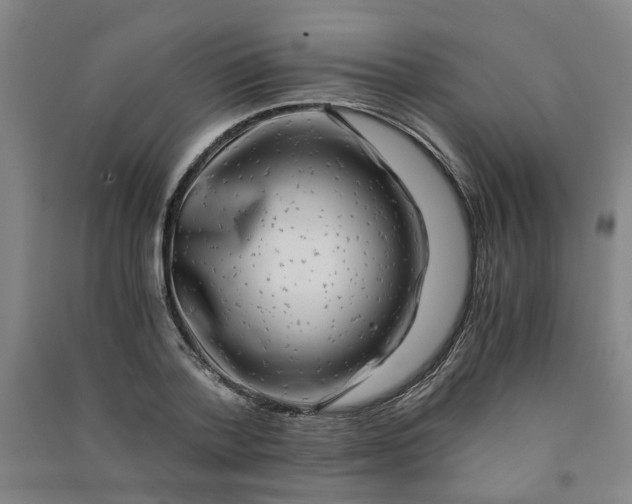 X0000090900788200708201716