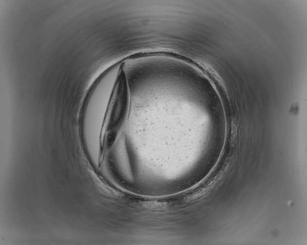 X0000090900789200708201716