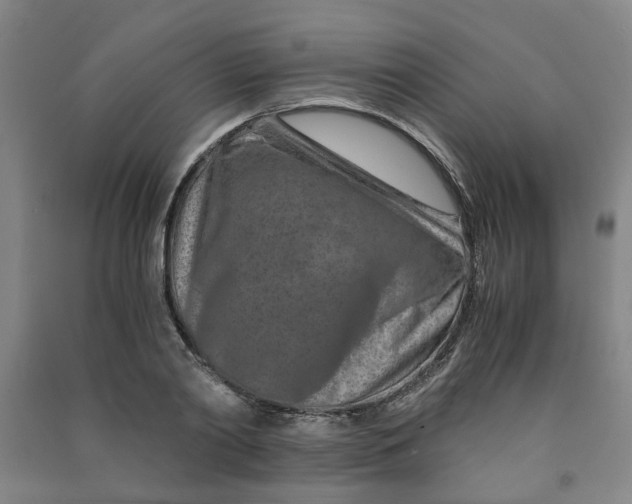 X0000090900790200708201716