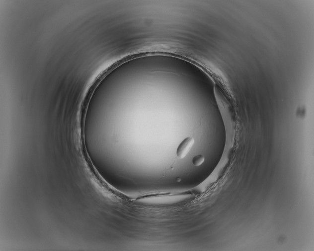 X0000090900792200708201716