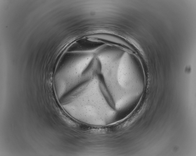 X0000090900793200708201716