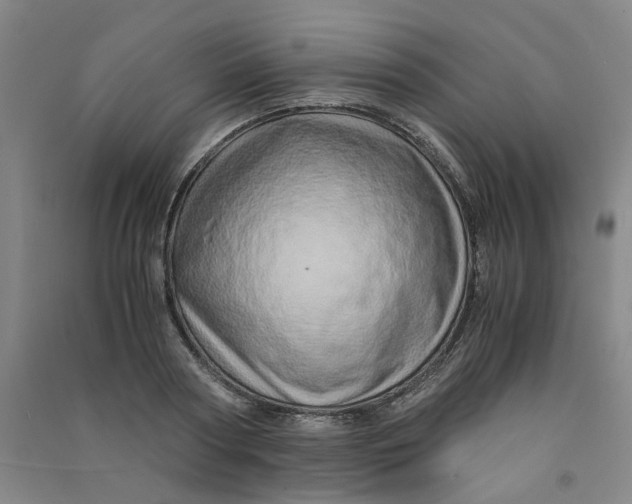 X0000090900794200708201716