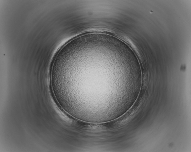 X0000090900795200708201716