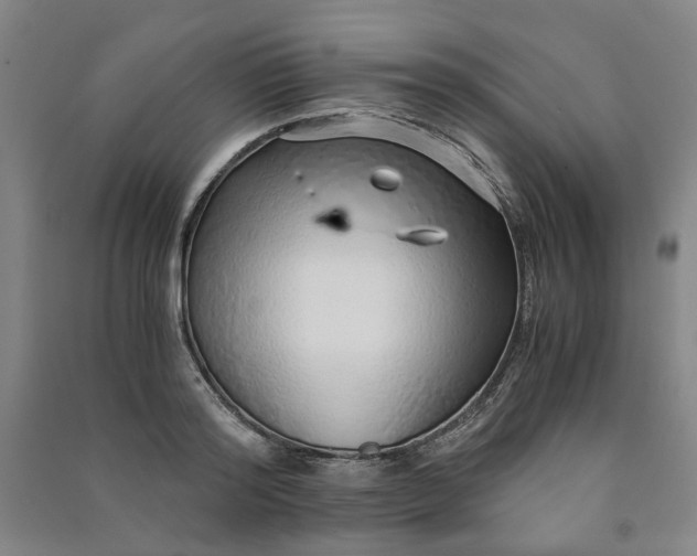 X0000090900796200708201716