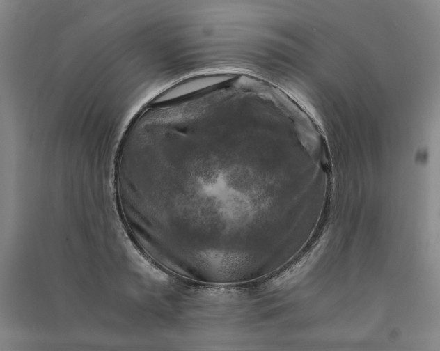 X0000090900797200708201716