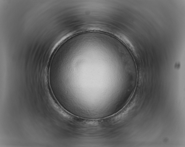 X0000090900798200708201716