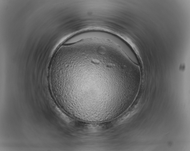 X0000090900799200708201716