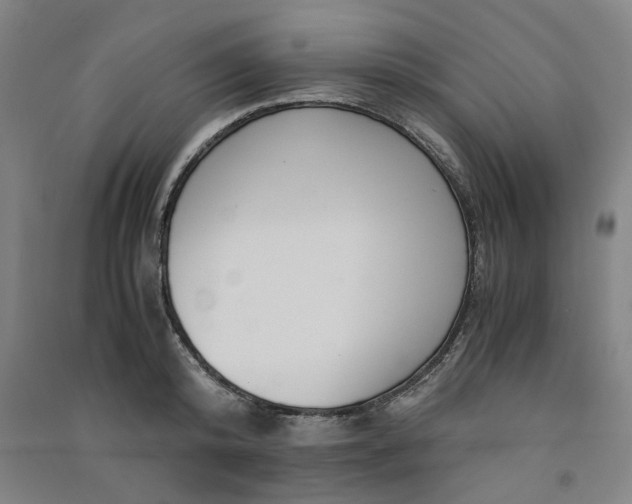 X0000090900800200708201716