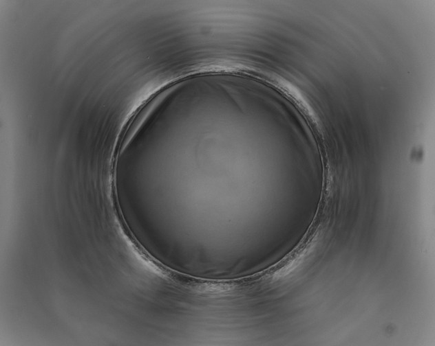 X0000090900802200708201716