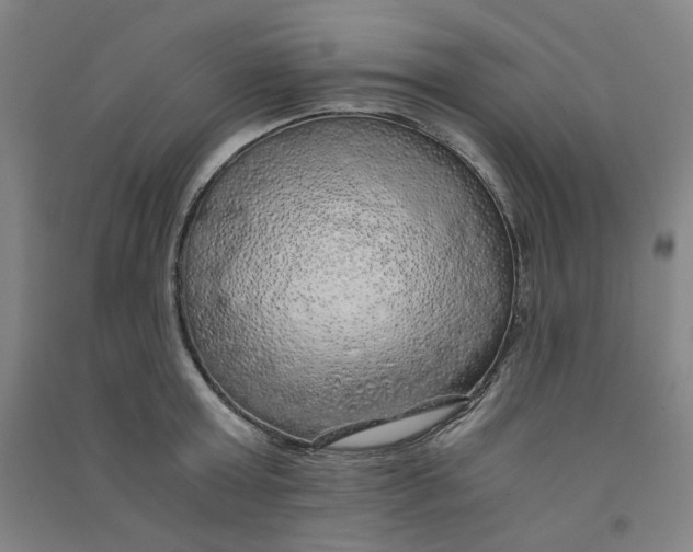 X0000090900803200708201716