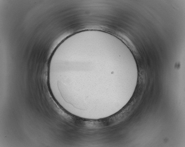 X0000090900804200708201716