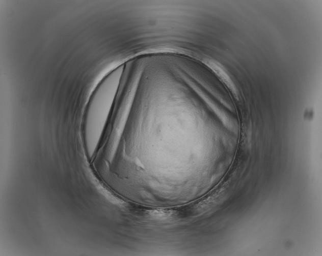 X0000090900805200708201716