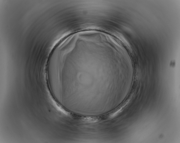 X0000090900806200708201716