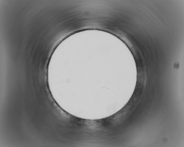 X0000090900807200708201716