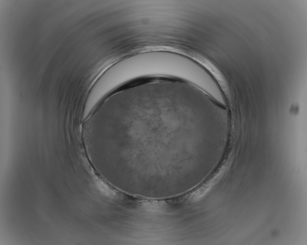 X0000090900809200708201716