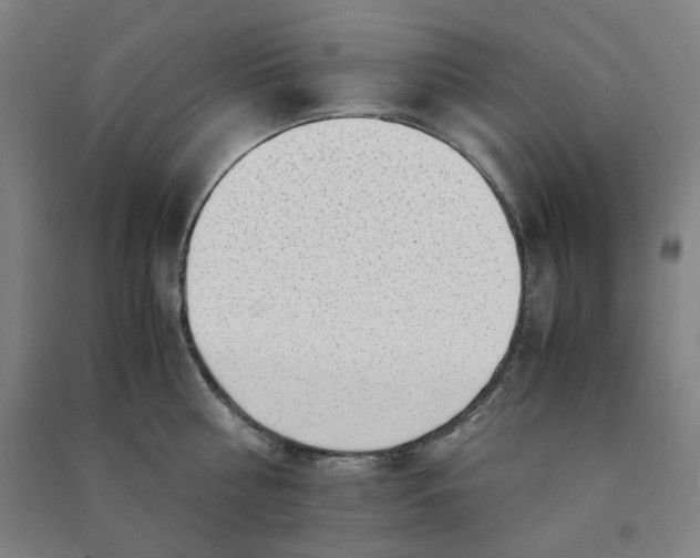 X0000090900810200708201716