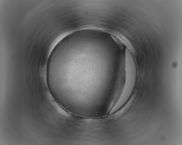 X0000090900812200708201716