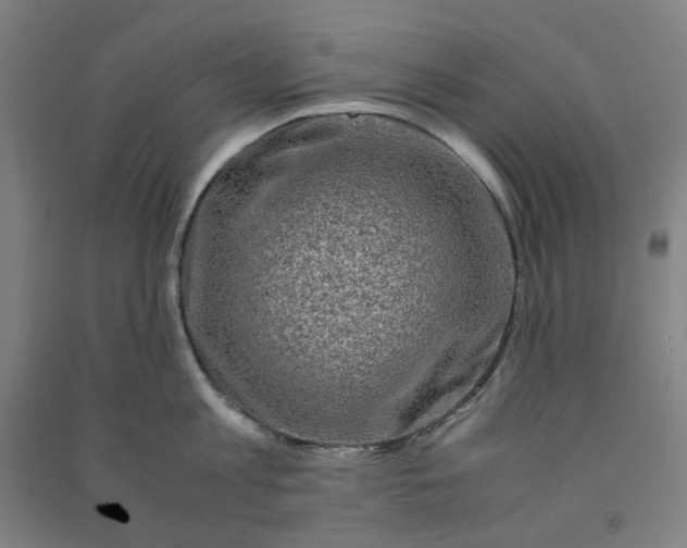 X0000090900813200708201716