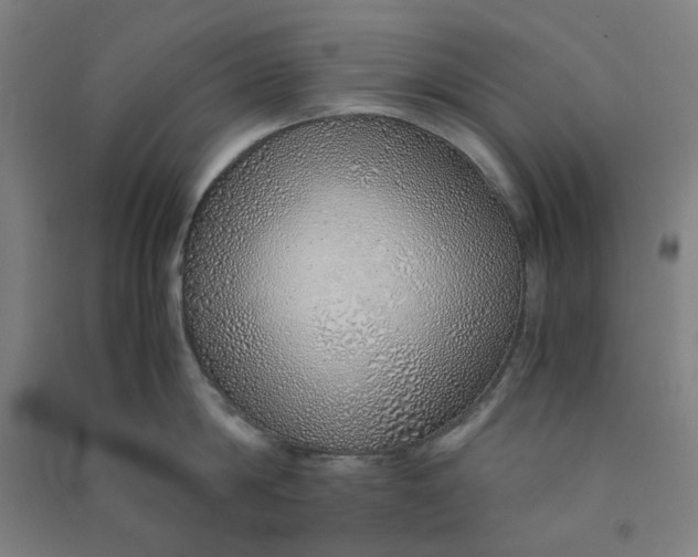 X0000090900814200708201716