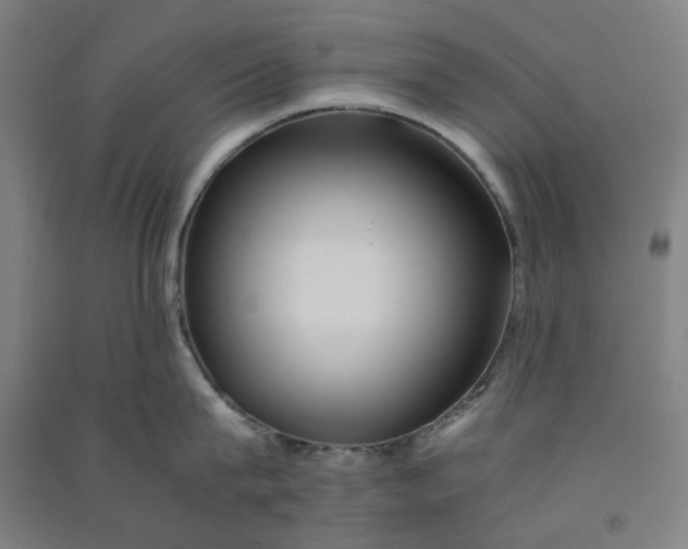 X0000090900815200708201716