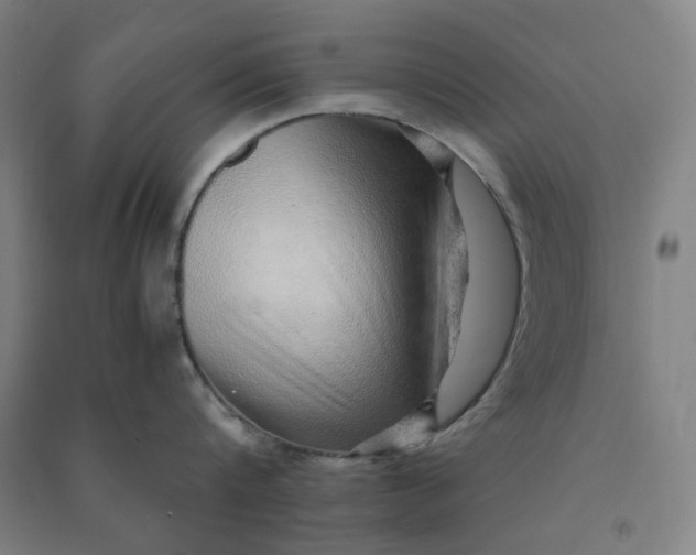 X0000090900816200708201716