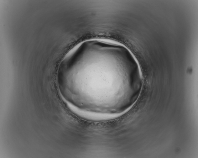 X0000090900817200708201715