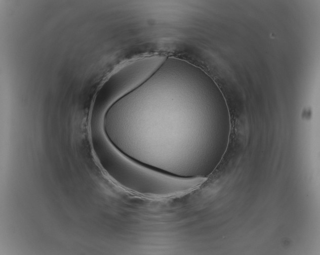 X0000090900818200708201715