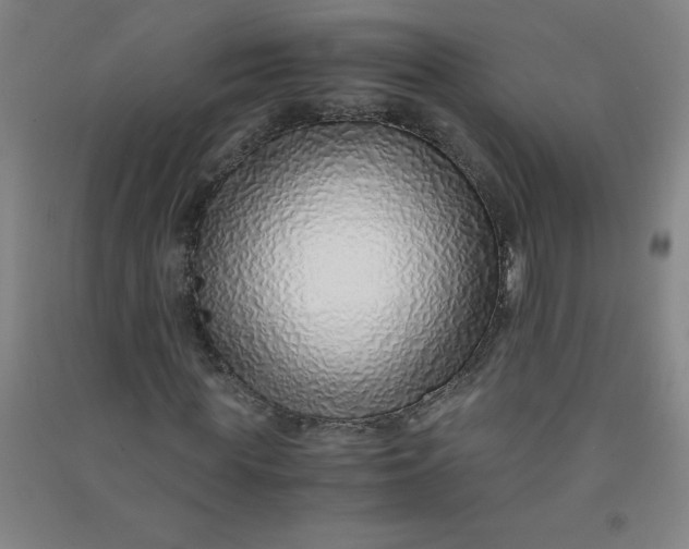 X0000090900819200708201715