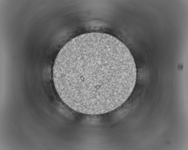 X0000090900820200708201715