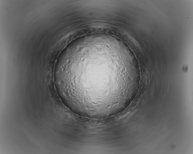 X0000090900821200708201715