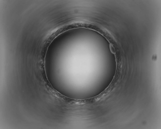 X0000090900822200708201716