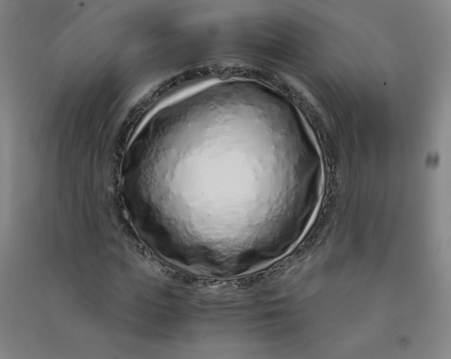 X0000090900823200708201716