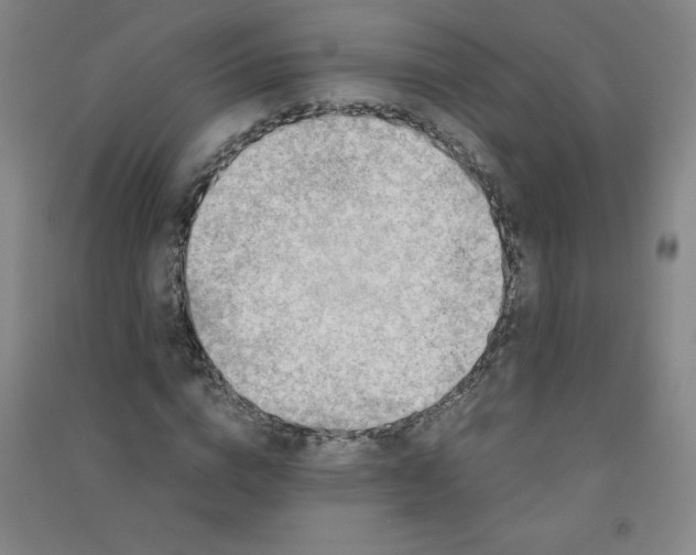 X0000090900824200708201716