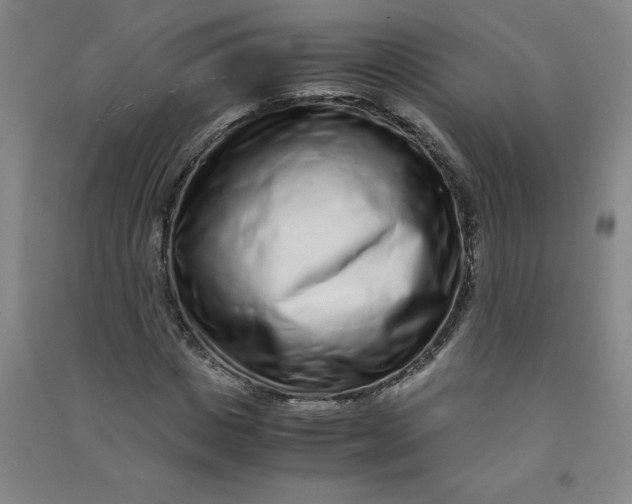 X0000090900825200708201716