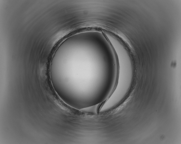 X0000090900826200708201716