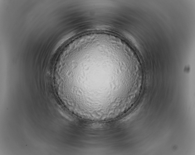 X0000090900827200708201716