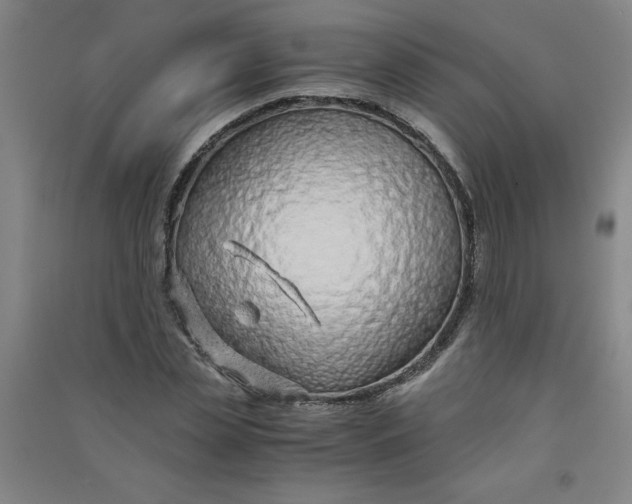 X0000090900829200708201716