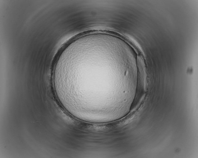 X0000090900831200708201716