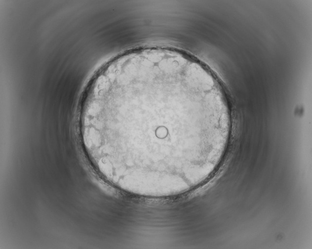 X0000090900832200708201716