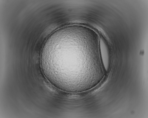 X0000090900833200708201716