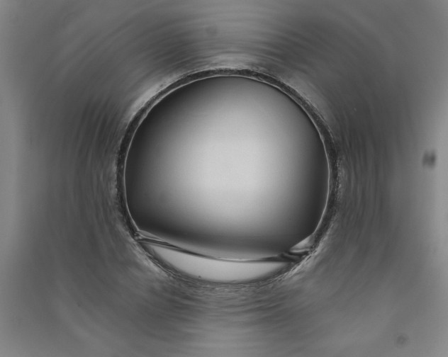 X0000090900834200708201716